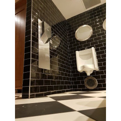 Dyson Airblade V Niquelado