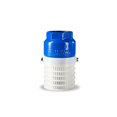 Filtro tipo strainer Flomatic