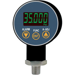 Indicadores de presión Hayward