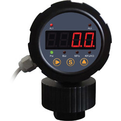 Indicadores de presión Hayward